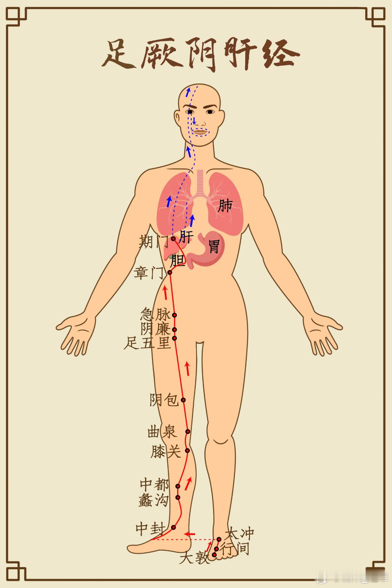 三张中药妙方，从根本上降血压！至道汇￼人生就是一场旅程，身边不断新生小宝宝买