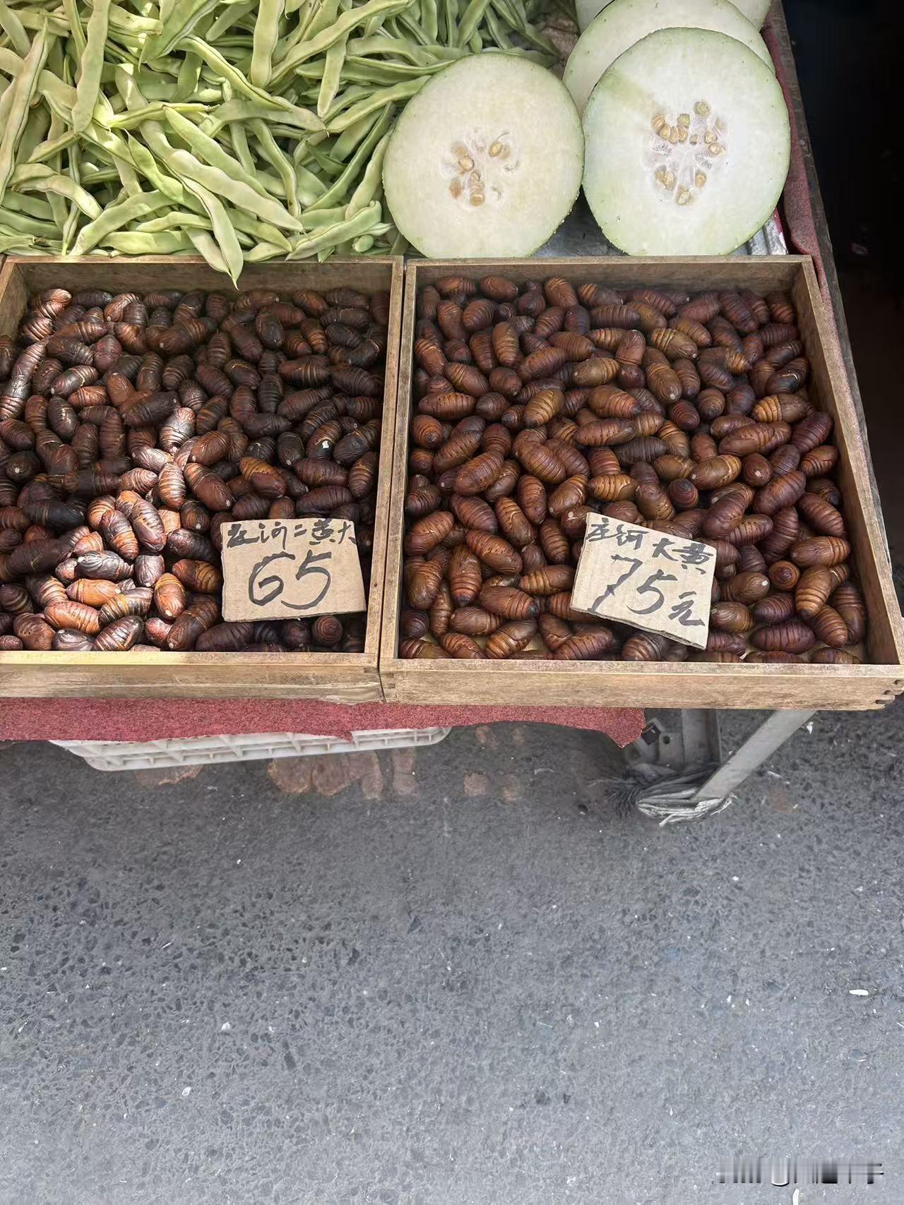 够牛，庄河茧蛹到现在还卖75元一斤！本以为四月中下旬，市场上的茧蛹会降价，