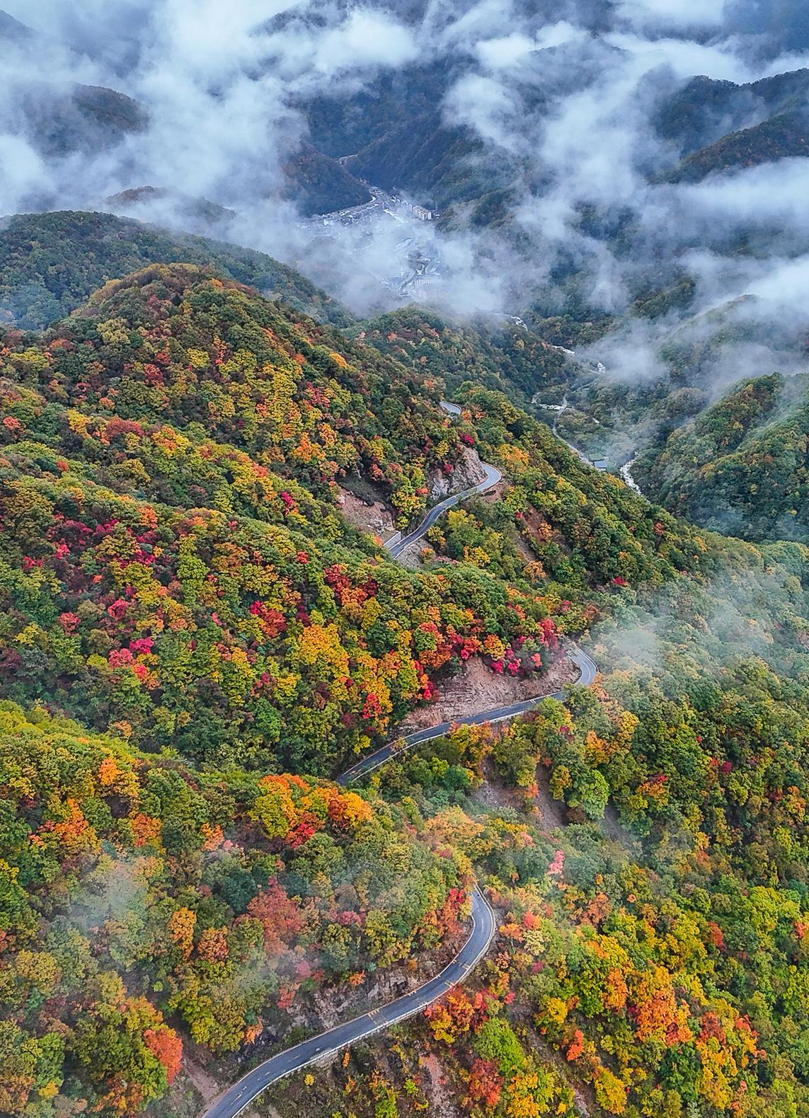 上联：千山红叶燃诗意；下联：万水碧波释心怀。