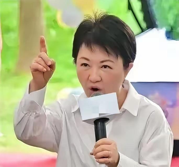 卢秀燕可能没想到，国民党全代会“废征召改初选”提案，或是她冲击2028的最大变数