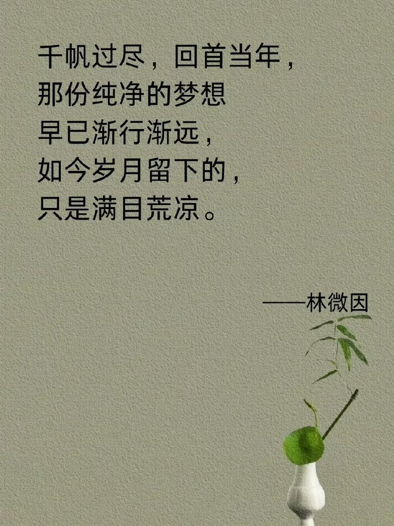 林徽因顶级温暖名言，温柔且清醒