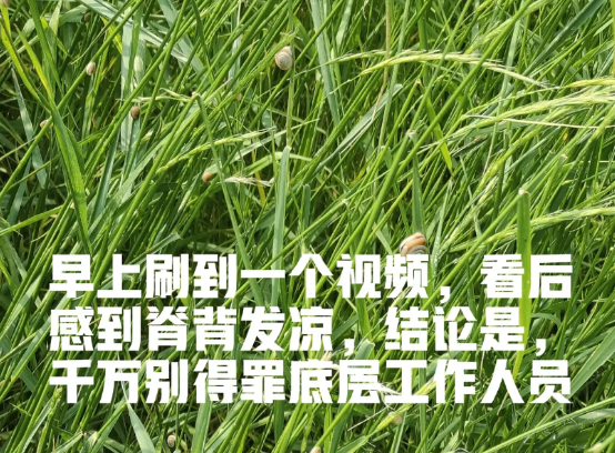 早上刷到一个视频，看后感到脊背发凉，结论是，千万别得罪底层工作人员。事情是这样
