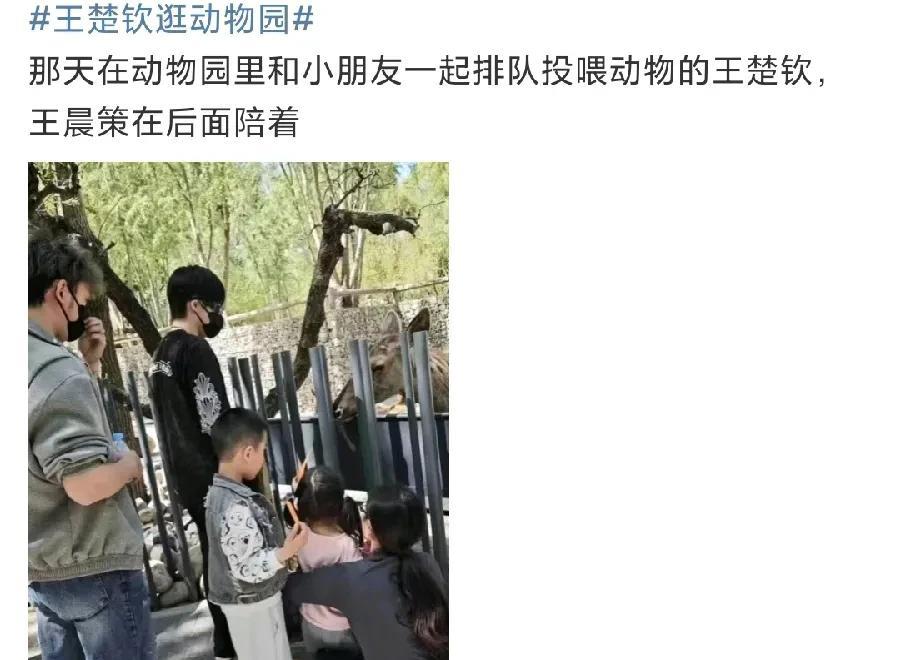有点反常，还想说大头这么扛热，这么注重防晒，原来是库存，后面草莓熊都穿了