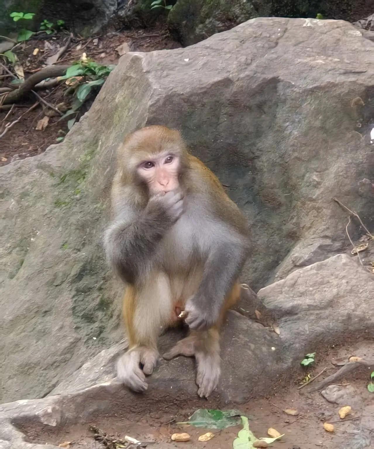 趁着放假期间，儿子与两个表弟，一个表姐，四个人一起去贵州游玩，这是他们首次组团外