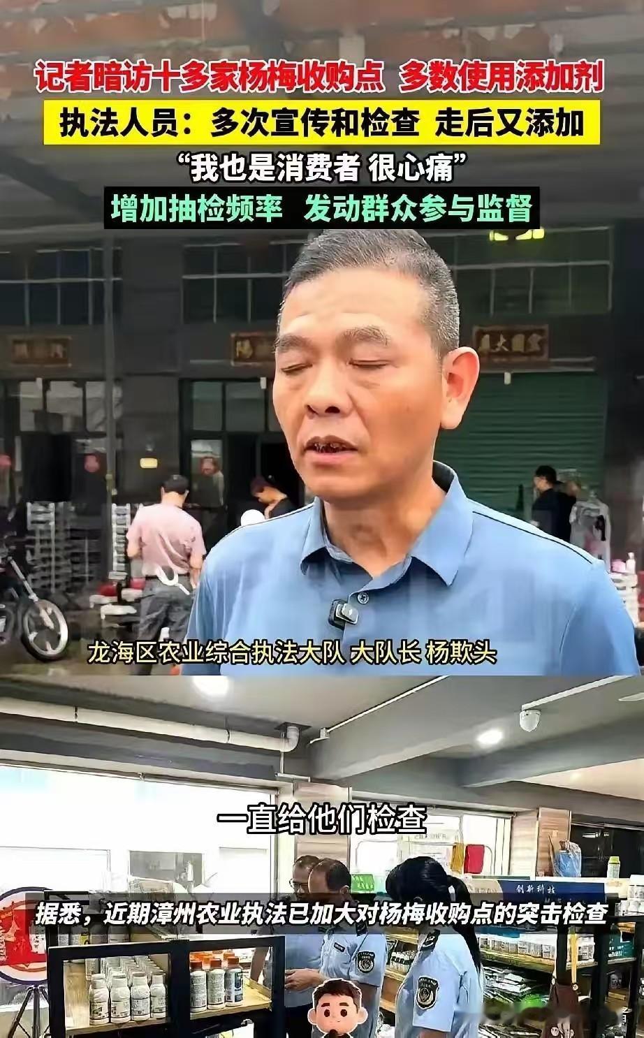 漳州杨梅这事，是记者在现场被一个工人一把拦下才曝出来的。他刚拿起一颗，红得发亮