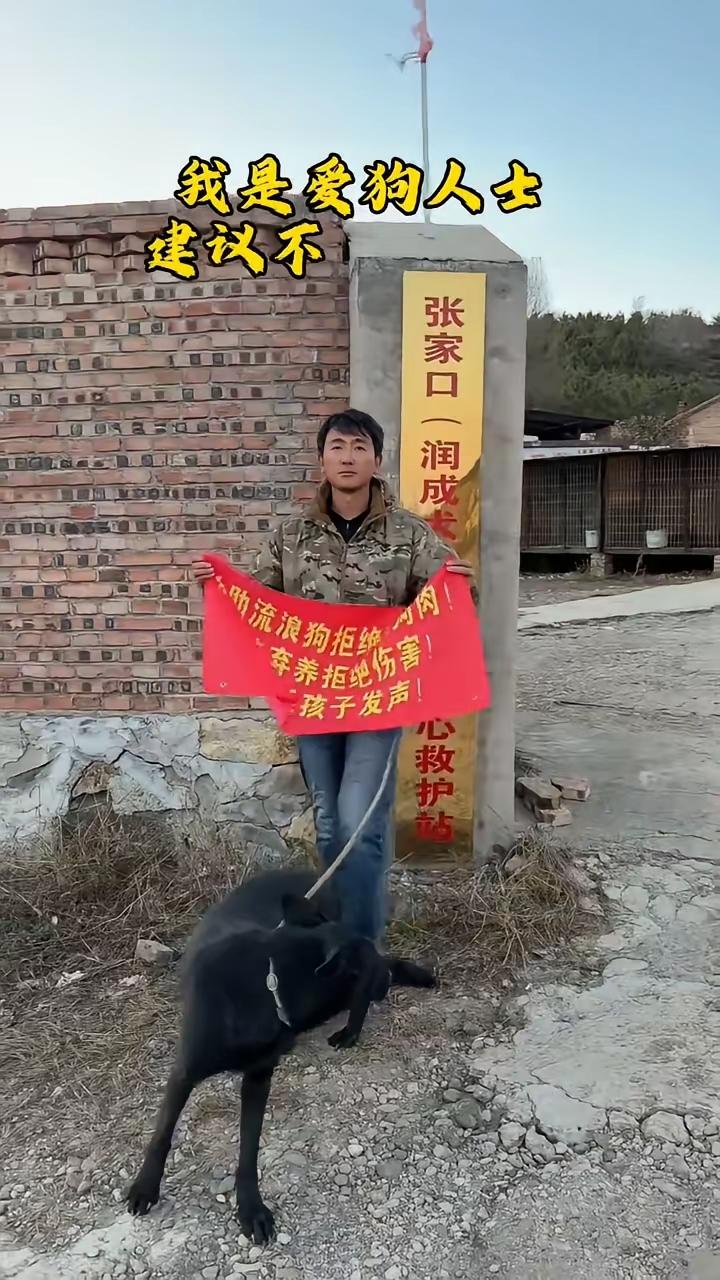 查查这家养狗中心