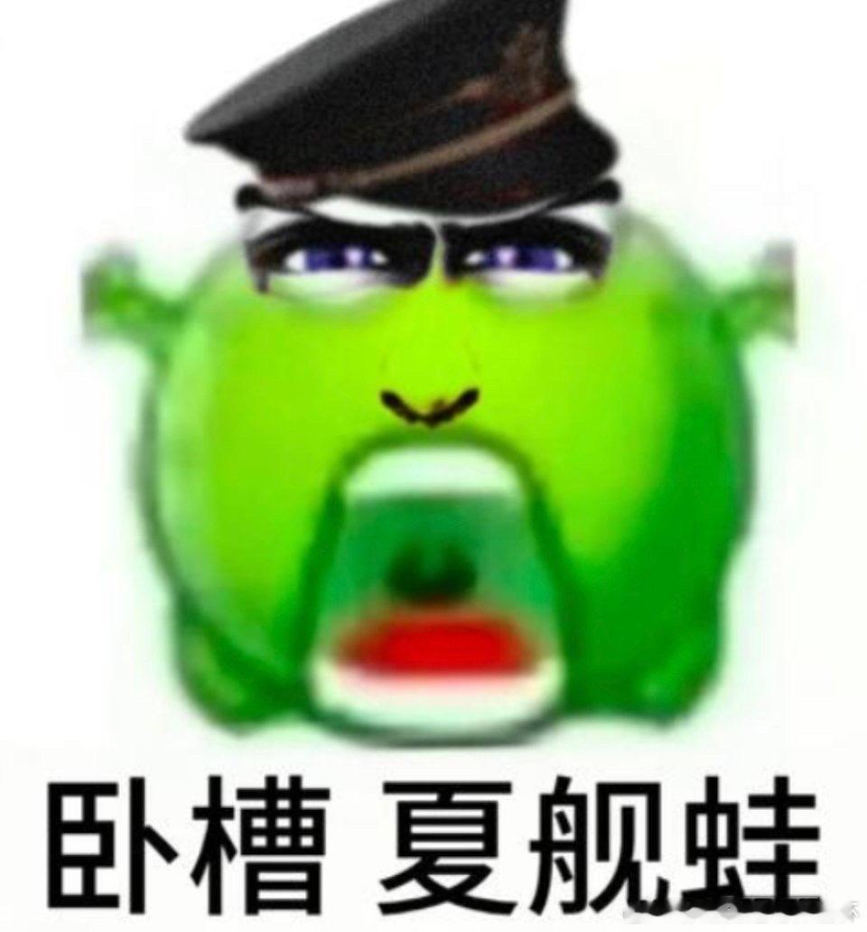 夏以昼有没有人觉得其实夏舰蛙很可爱