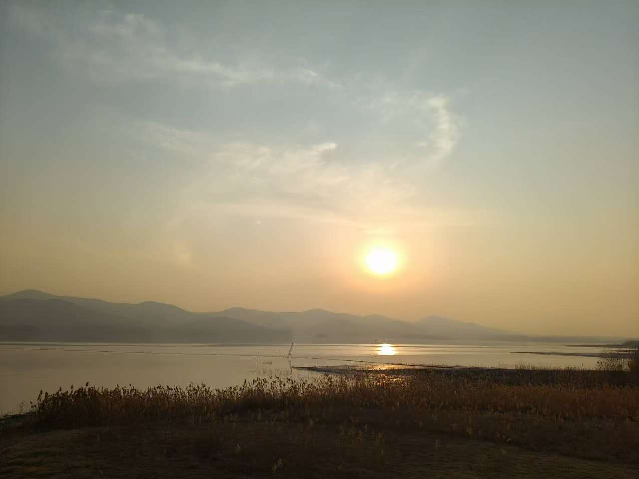 公元后1233年在看韦应物在看滁州西涧