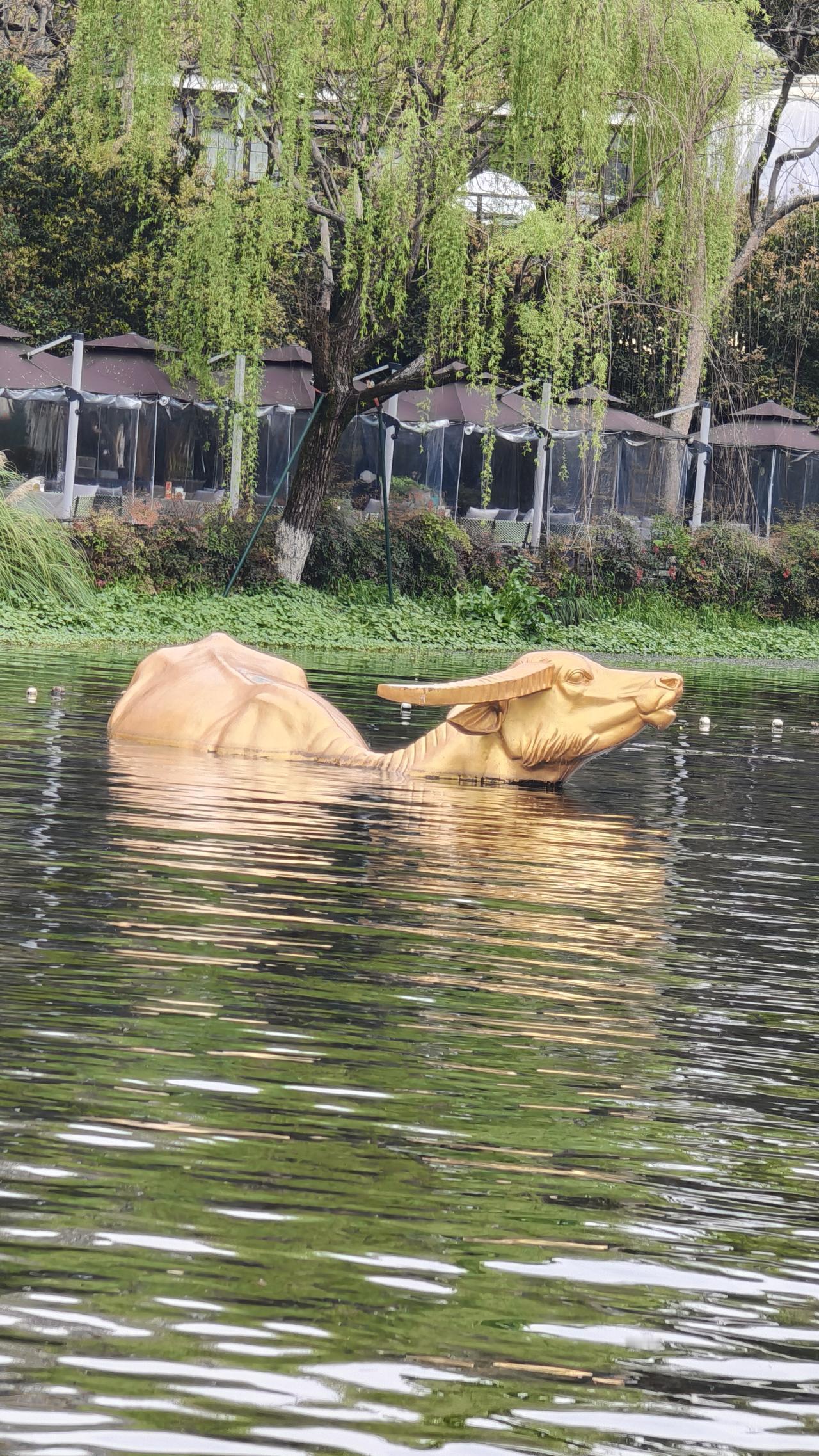 看看你拍的西湖这是我在西湖边拍的，因为西湖边上都没有围栏，我不敢靠得太近，如果变