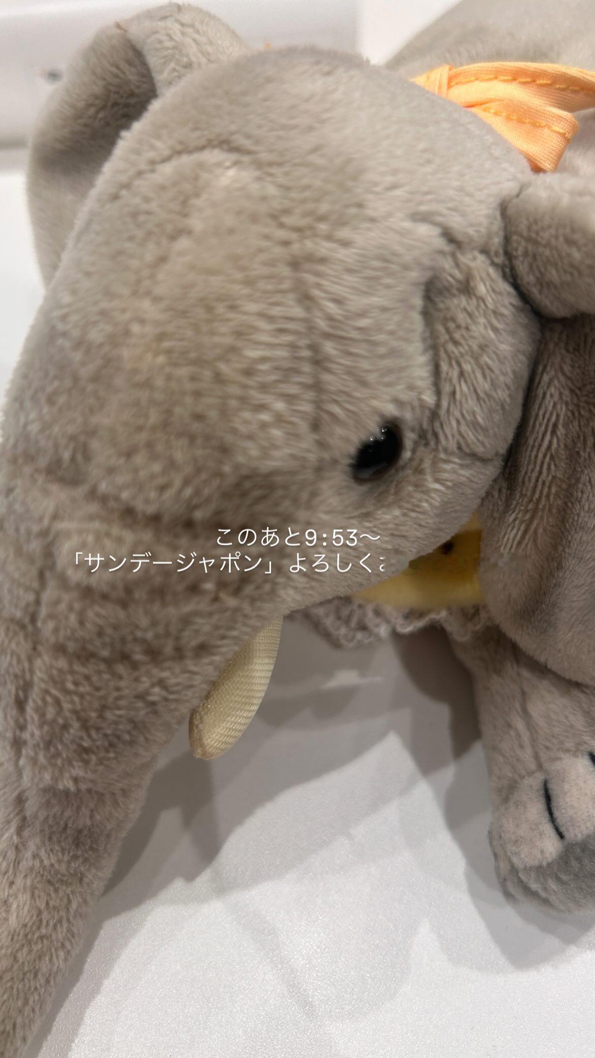 林瑠奈　サンジャポ