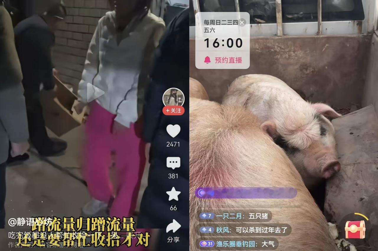 完了，呆呆彻底呆了1月12日，呆呆家刨猪汤彻底“失控”！博主哭着发视频求大家止