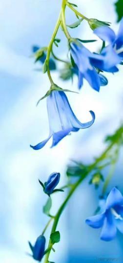 拖垮一个成年人，根本不是穷！而是下面这几件事：1.不再对任何事感到兴奋看