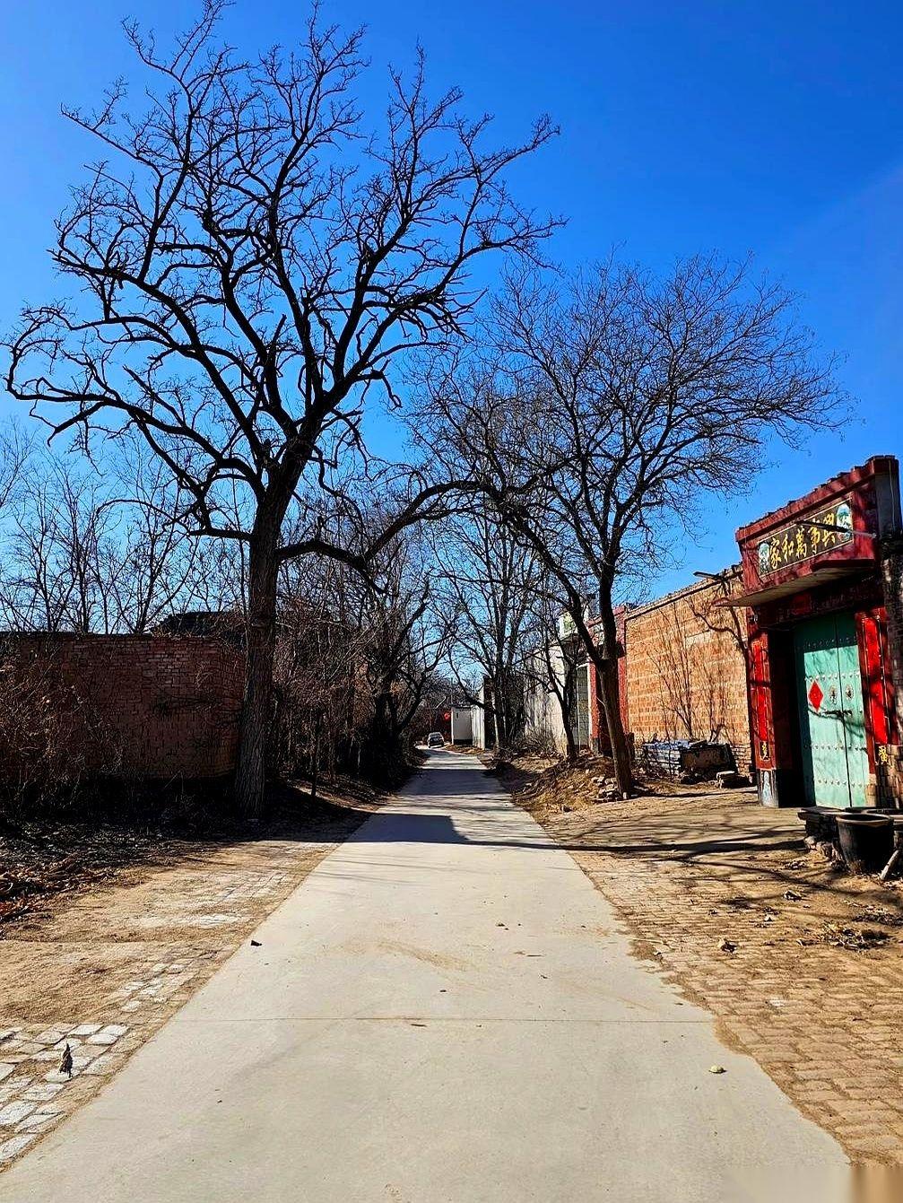 提前回老家，本以为是看望父母，结果待了不到一个礼拜，我只想逃。晚上刚过七点，我