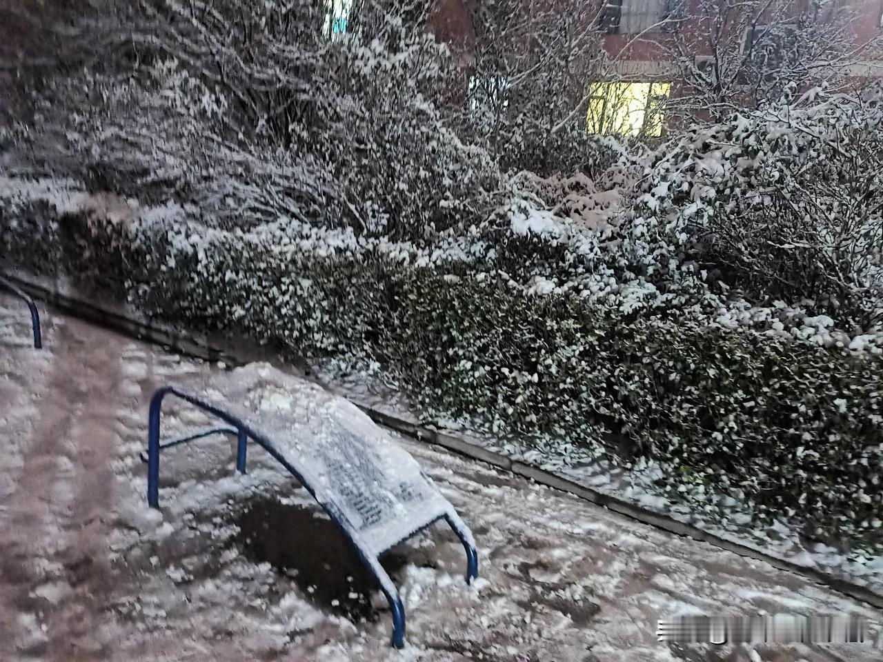 2025年的第一场雪，大雪纷飞，漫天飞舞，银色的世界如此壮观！