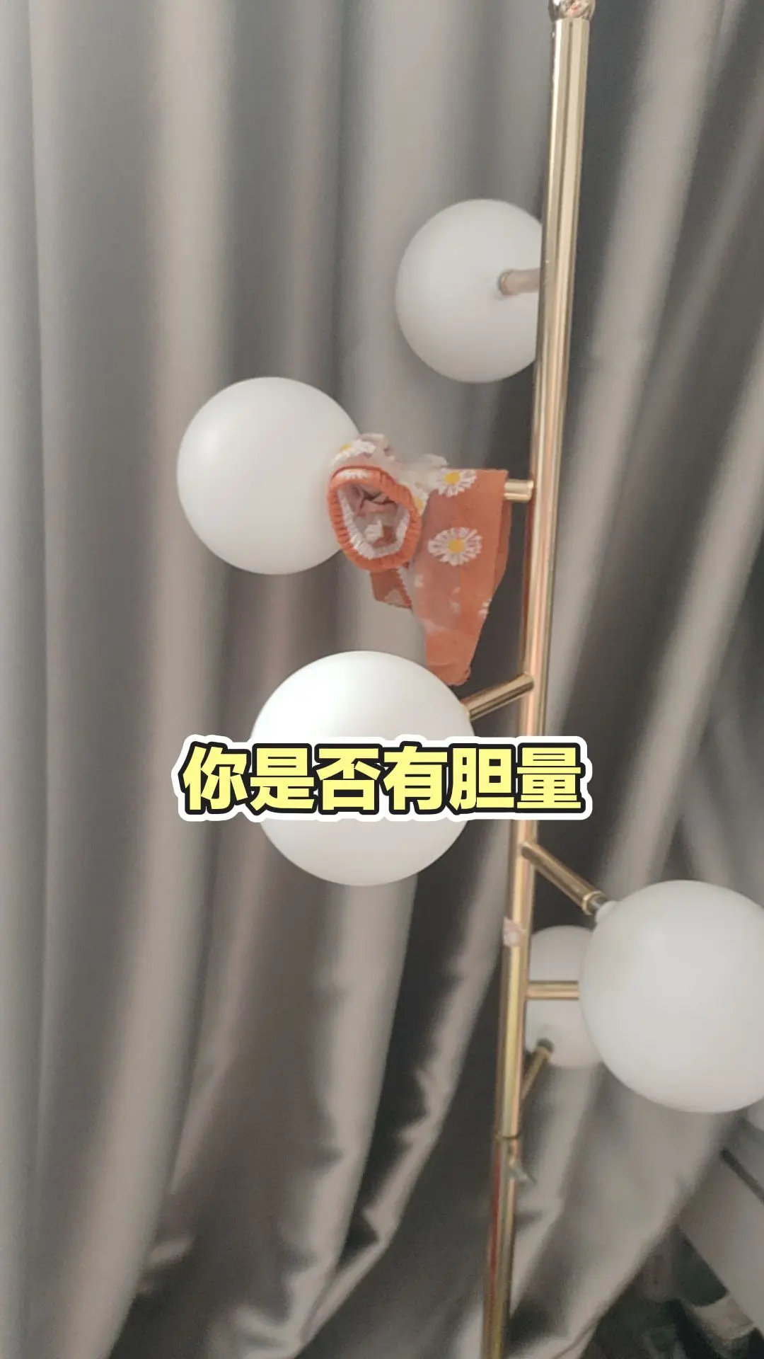 每日分享