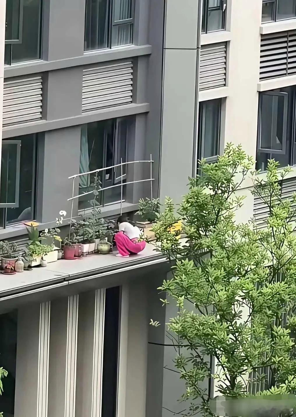 房子的价值就在她一个人身上了