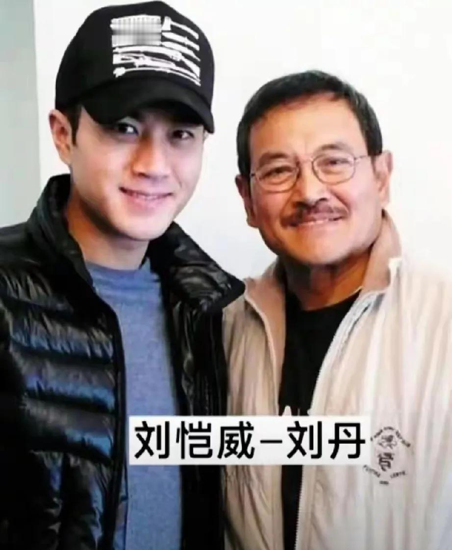 家人们谁懂啊！刷“父子档”时我发现个超有意思的规律：娱乐圈好多儿子比父亲还火！