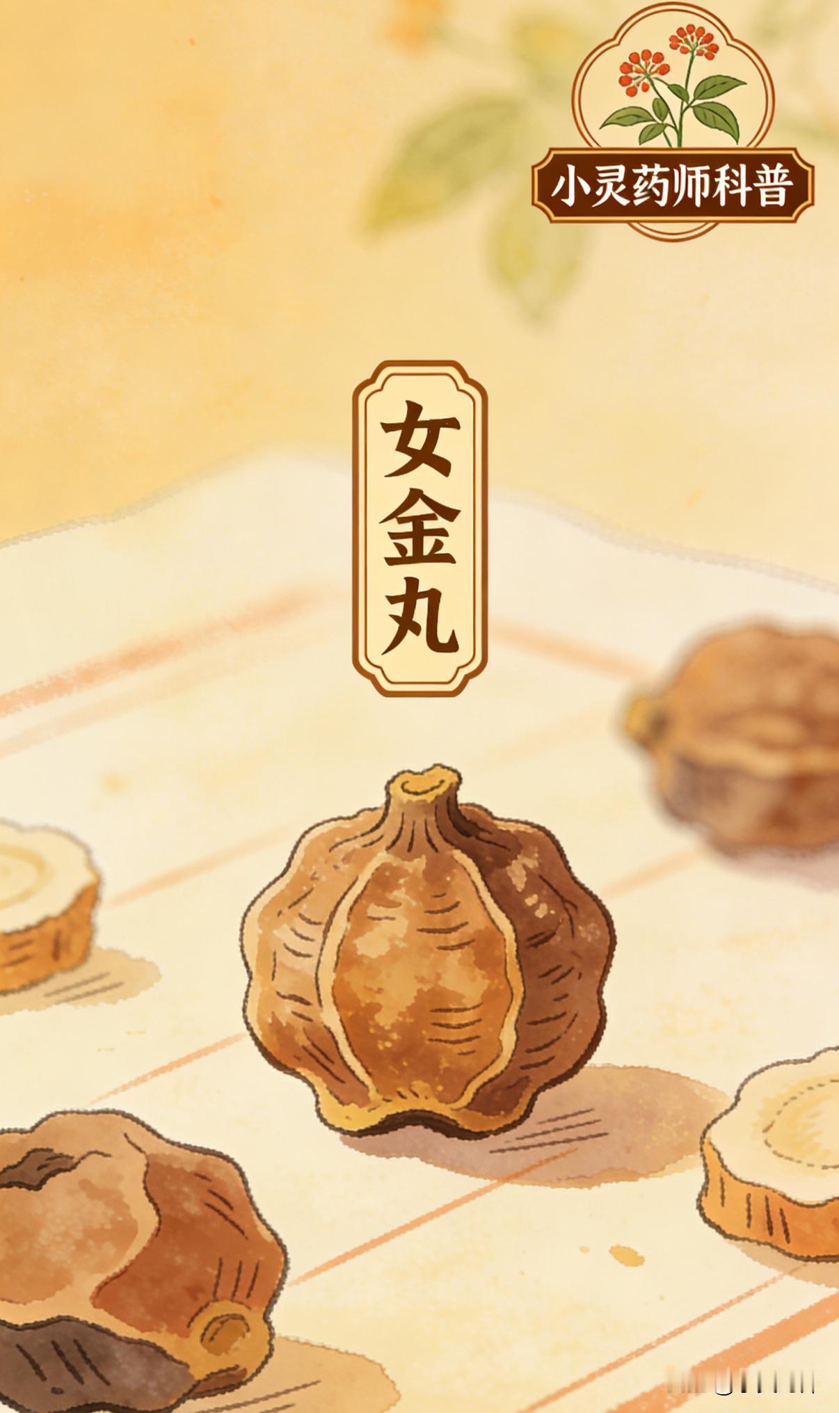 每天了解一个药品之女金丸成份:当归、白芍、川芎、熟地黄、党参、炒白术、茯苓、甘