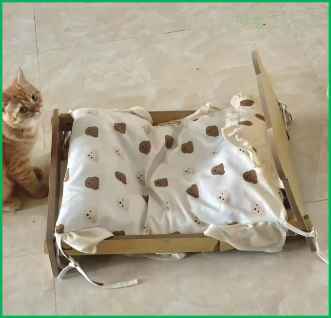 小猫胖的把床睡塌了…远看大肥猫，近看肥猫大，肥猫真是大，真是大肥猫！