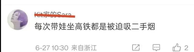各位朋友，你们谁在高铁上看过有人吸烟的？但是，这里就有人在网上哔哔说它带娃在高
