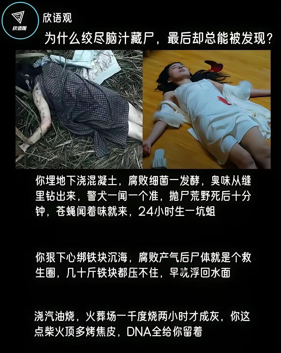 完美藏尸？想不被发现也简单:1、混凝土浇筑埋地下还有味儿，说明埋浅了，埋得足够