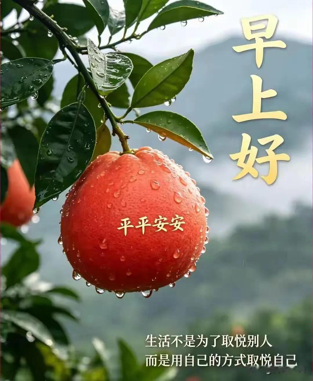 时光静静流转，愿晨起有慰藉，遇事多顺遂，身体安康，平安相伴每一日。