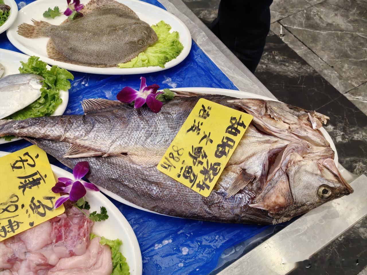 青岛到了，姑姑平安到家了！我也如释重负。表弟却轮到晚班，但表弟媳也是热情好客