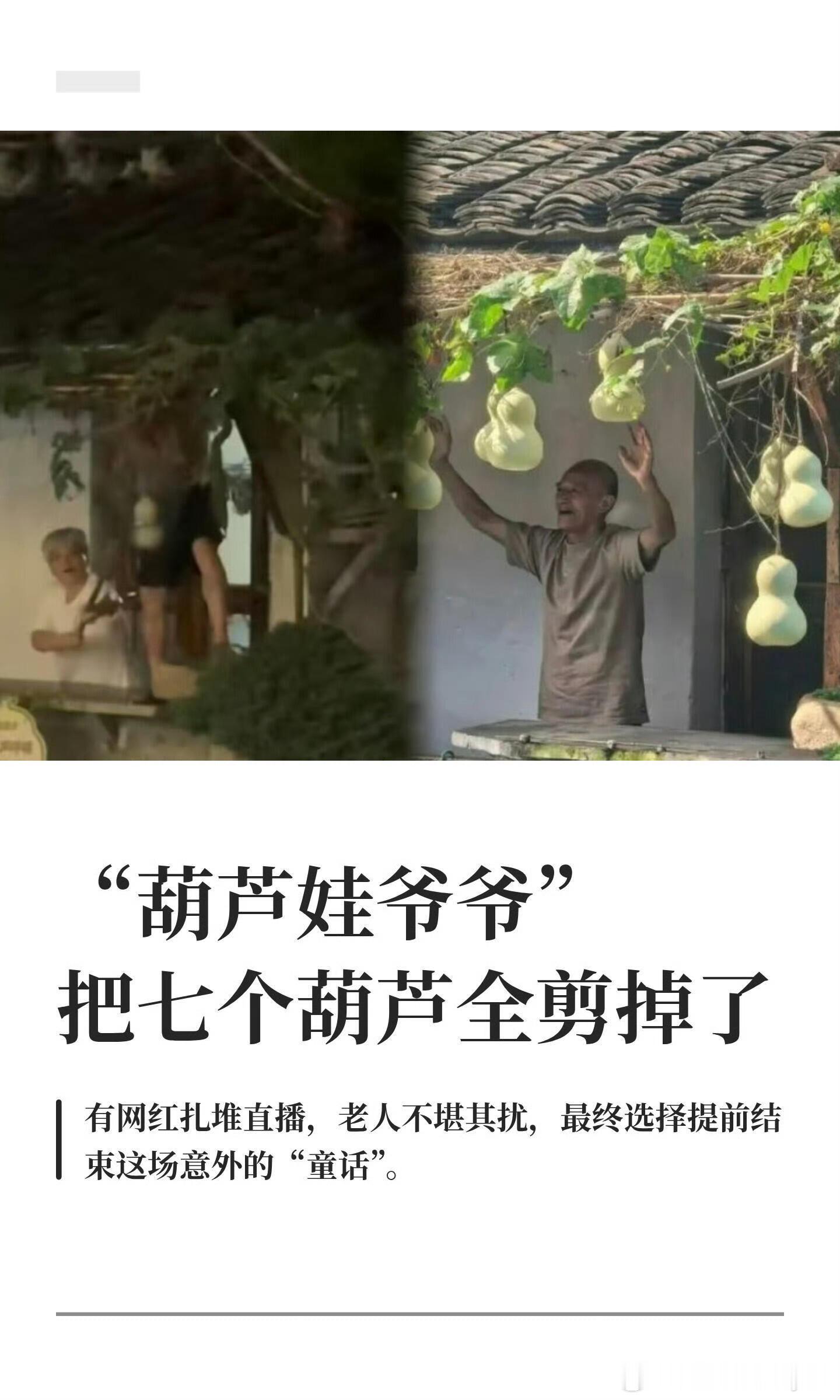 葫芦娃爷爷流量暴力七颗青葫芦，让75岁的失独老人陈金敖，从沉寂中被拽进流量的风