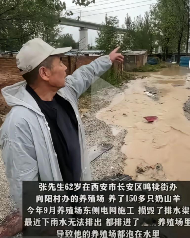 施工队破坏水渠养殖场被淹，施工队赔了2100元，养殖户说他赔偿的是羊奶钱，厂子还