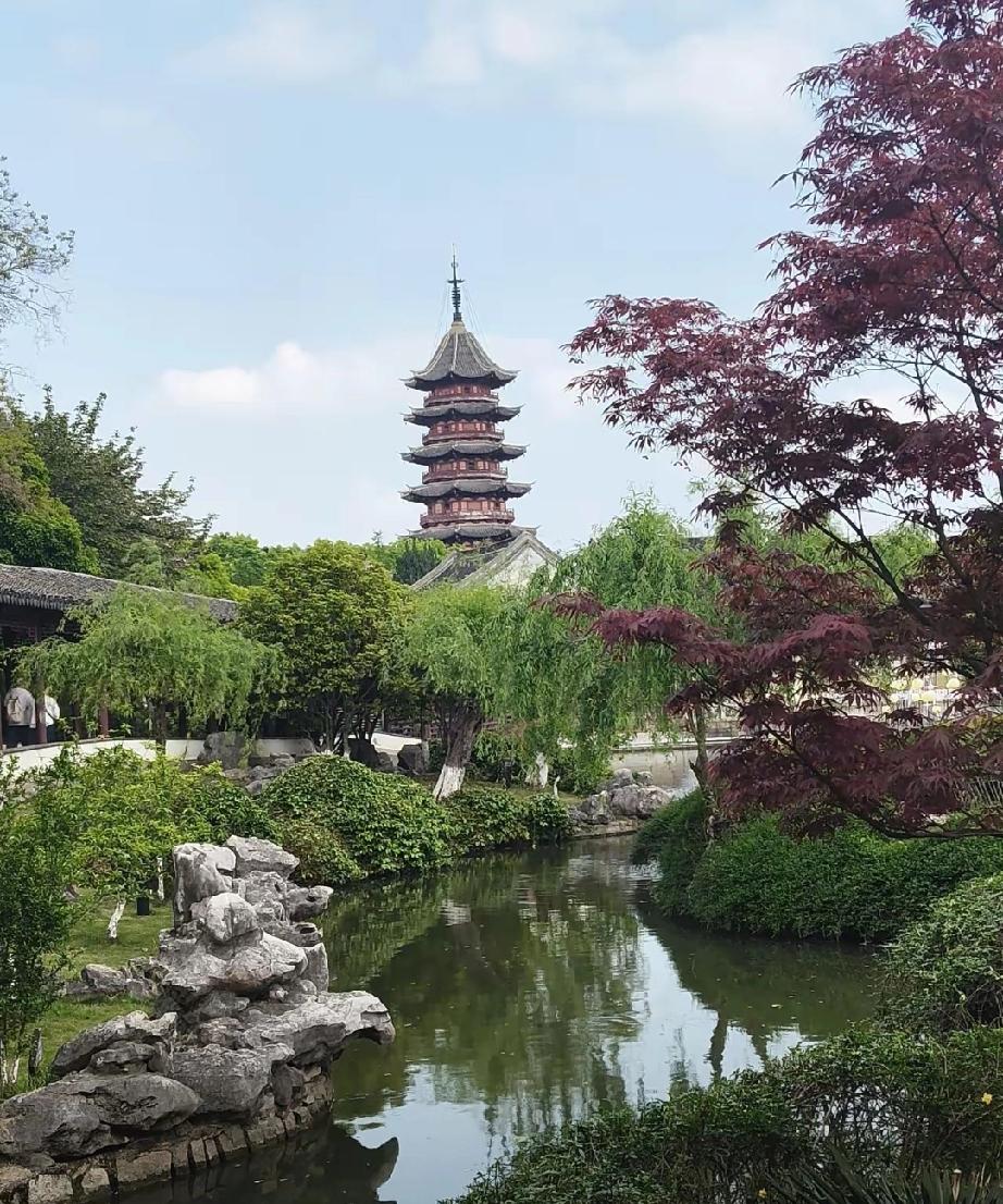 其实一个男人最大的不幸，就是人到中年才猛然发现，自己娶了一个既认知不足，又极