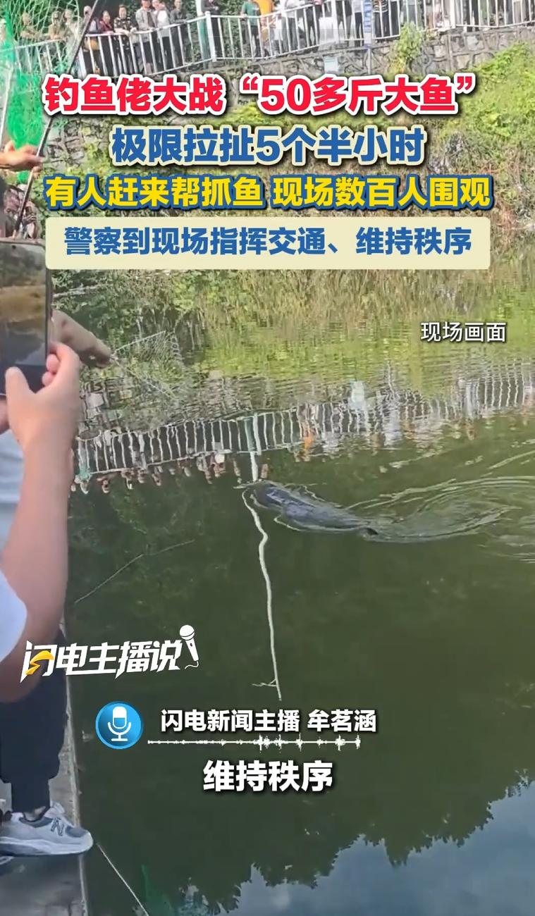 钓鱼佬狂喜！贵州遵义，一位大爷在普通池塘中了一条五十多斤的巨型青鱼，硬生生拉锯缠