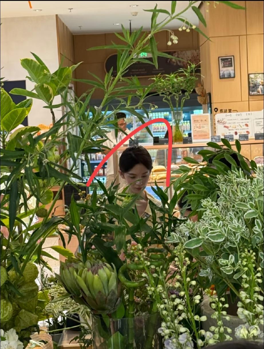 娱乐圈脸最小，最漂亮的女人，不接受反驳！