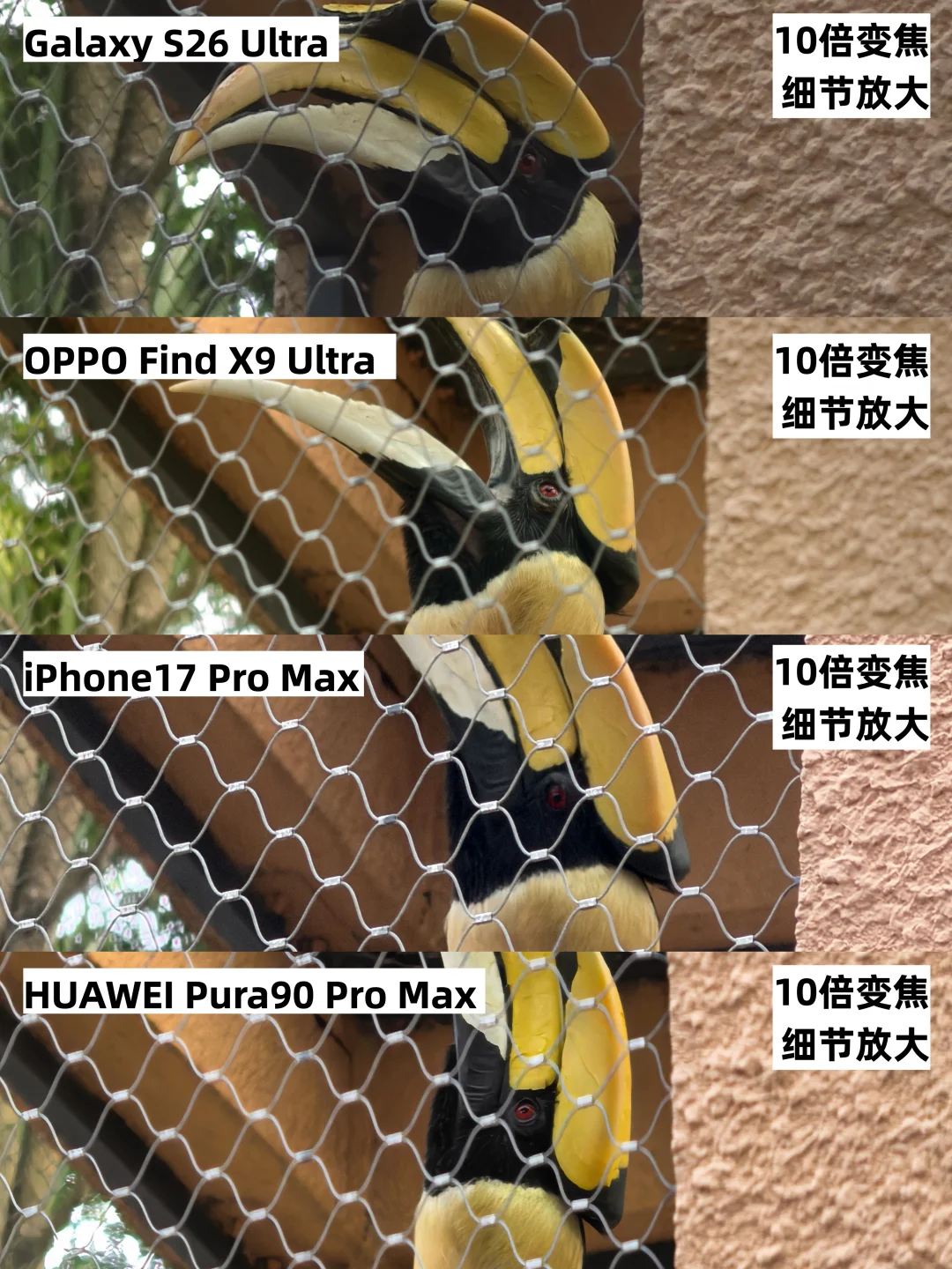 拍动物，手机10倍长焦太实用了
