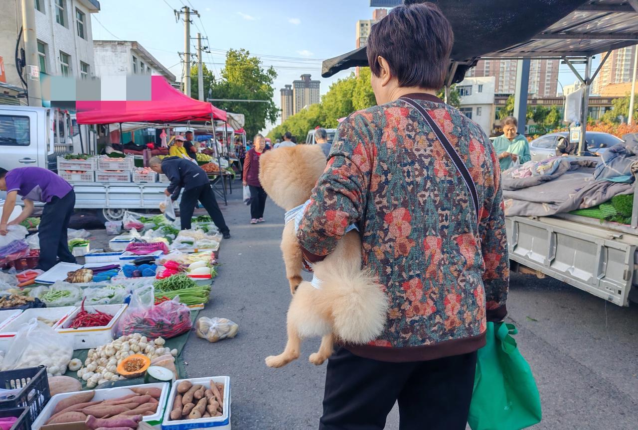 狗子丢失的后遗症。这是我的邻居姜阿姨，老伴走后，她养了一只宠物狗，长得特别可爱
