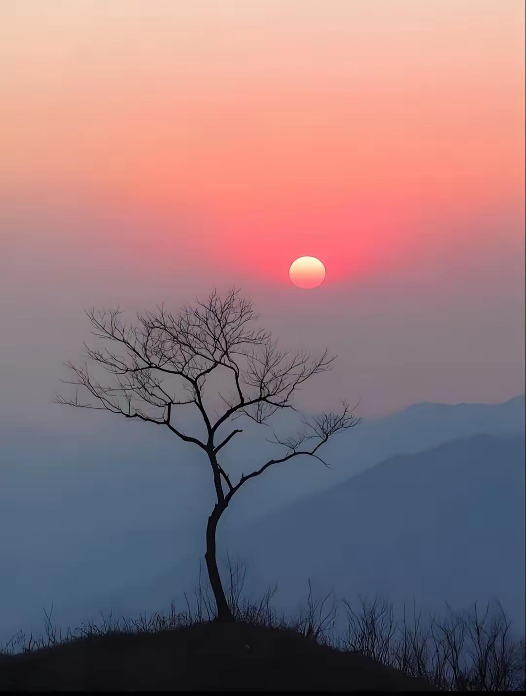 朋友说他媳妇弟弟今年都30多了，不打算结婚，家里人很着急？今天我们俩聊天，说到