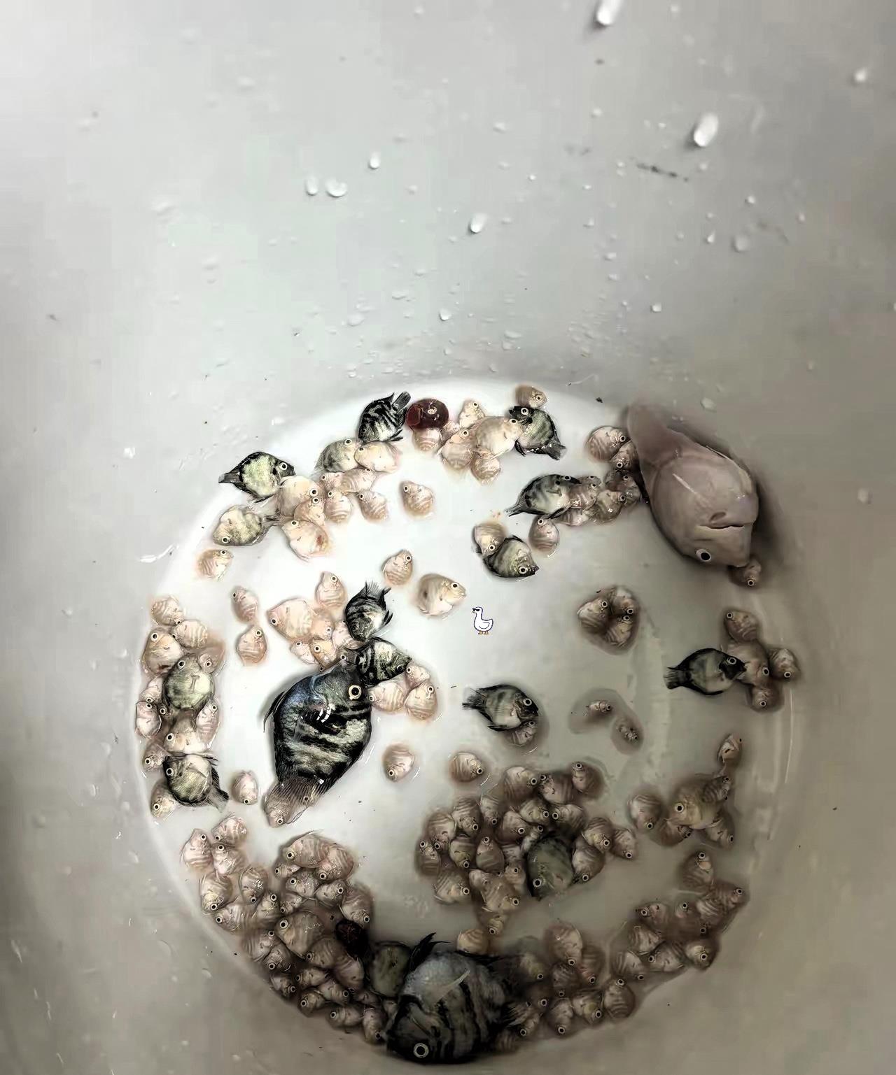 大家换完水一定要记得开水泵