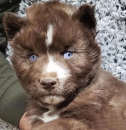 总感觉这个家伙长的像某个明星，又一下想不出来，大家觉得像谁？