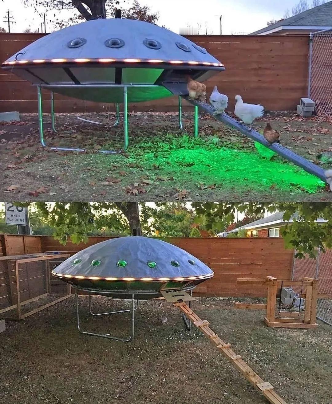 🛸路边惊现UFO鸡舍？！这设计绝了哈哈哈今天被一张图笑到不行——有人在路边