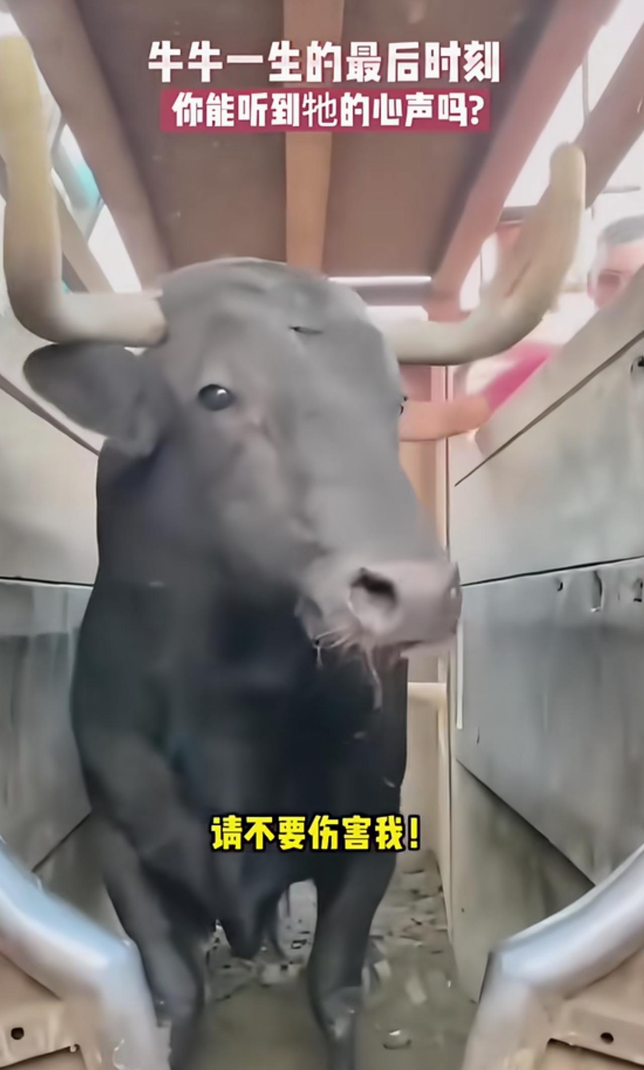 吃的比谁都香，所以纯属有病。