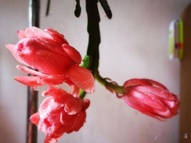 赵先生结婚五年，工资卡一直在妻子手里。每个月领点零花钱。父亲生病要动手术那天