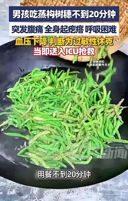 “悲剧还是发生了！”河南许昌，一男子带儿子去饭店吃饭，点了一份蒸构树穗，不料，吃