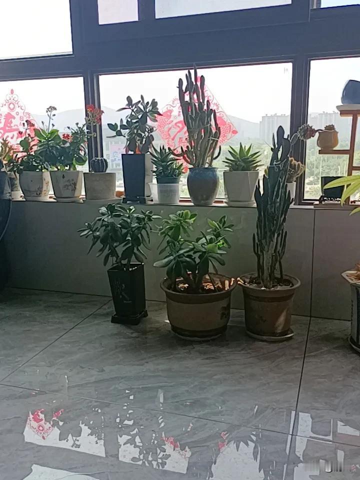 你五一期间会出去旅游吗不会。五一假期各景区到处是人，吃饭要排队，住宿价格贵，上厕