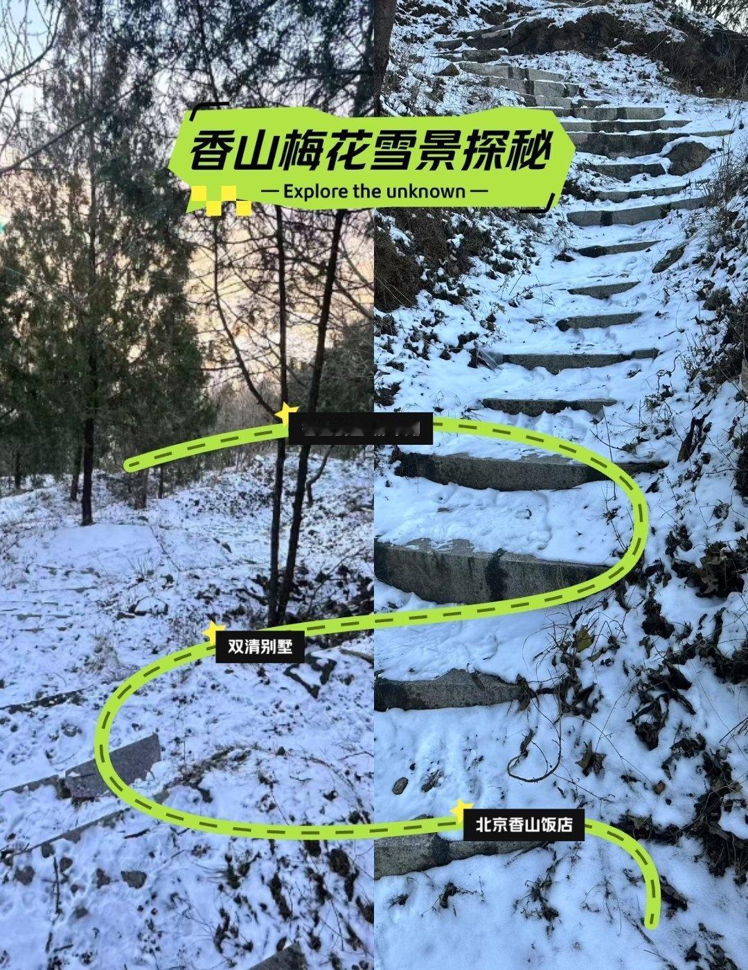 北京香山后谷踏雪寻梅🌸📍北京🌨谁说北京的冬天只有萧瑟？香山后谷的腊梅