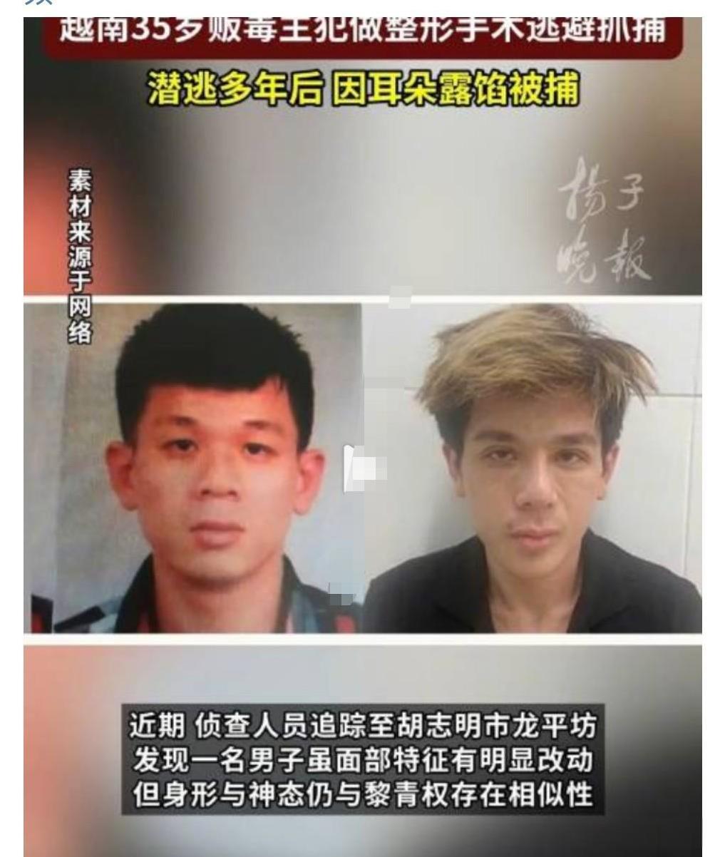 千万不要做毒犯，被抓住后果非常严重。近日，越南毒犯整容逃亡因耳朵落网。这正是