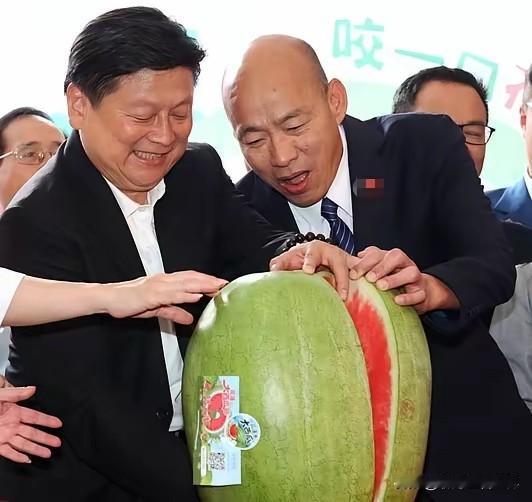 不少蓝营认人士会觉得，与其选韩国瑜担任岛内立法机构负责人，还不如选一个白营人士取