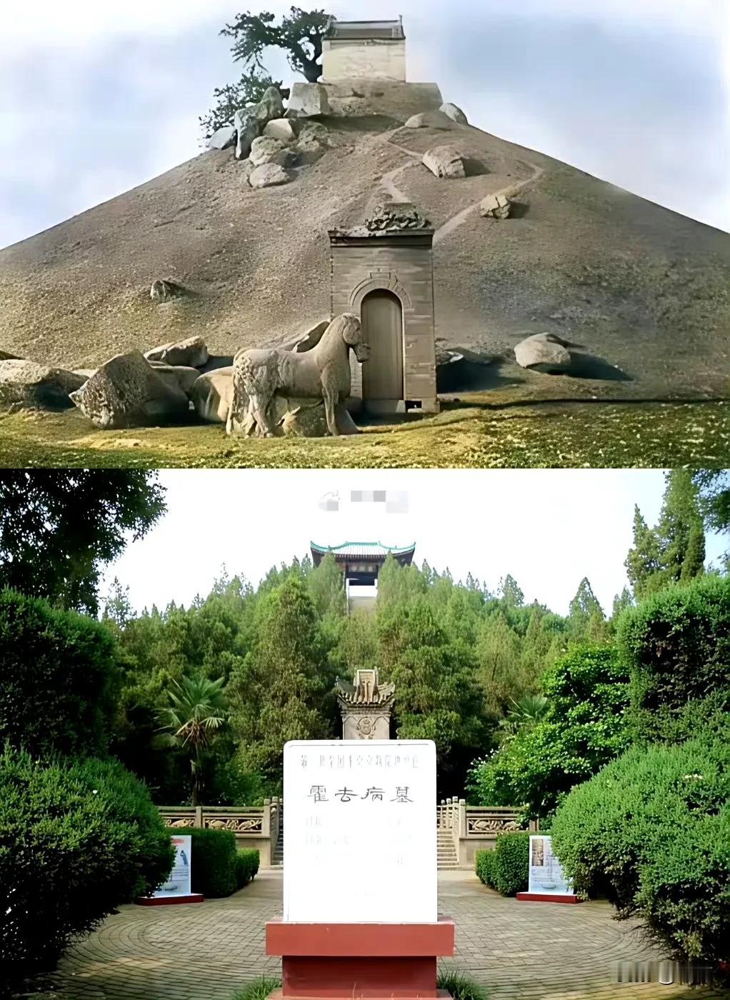 以前的树木是用来烧火做饭的！