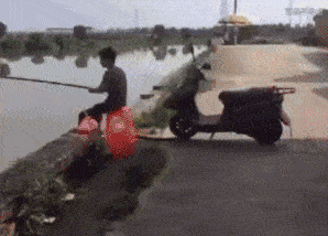 永远不要让你的牛马站在你背后它受了太多委屈一定会在某个时刻发泄出来