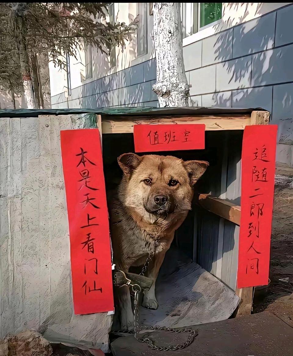 哈哈哈哈，值班室可还行[笑着哭]