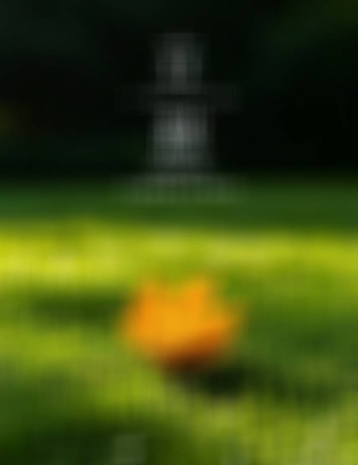 很喜欢释迦牟尼的一句话：人生，没有相欠无论你遇见谁，他（她）都是你生命里该出现的