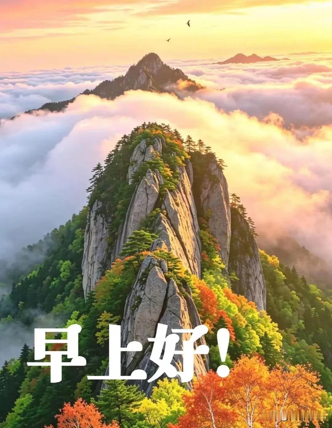 清晨风暖，草木含光，愿日子安稳，家人平安，早安。
